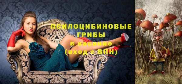 гашик Абаза