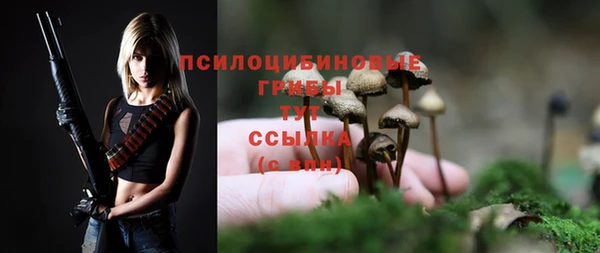 МДПВ Абинск