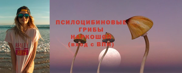 гашик Абаза