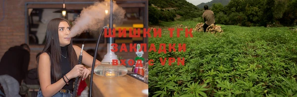 гашик Абаза