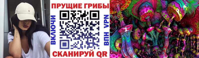 Псилоцибиновые грибы MAGIC MUSHROOMS  продажа наркотиков  Электросталь 