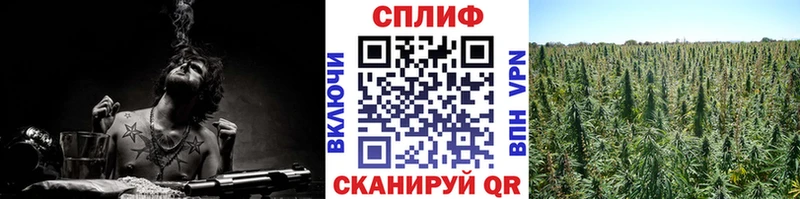 Бошки Шишки VHQ  Электросталь 